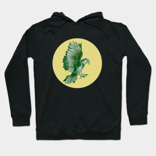 Kea NZ native bird Hoodie